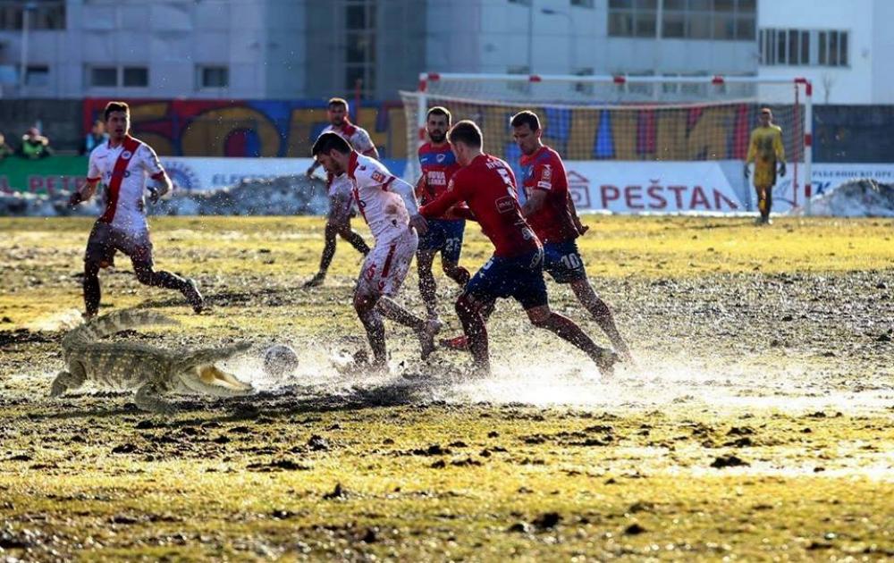 FOTO Siniša Pašalić Euroblic.jpg - Koliko je bh. fudbalu pomogao renovirani travnjak na Grbavici?